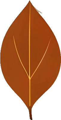 Downloadable Transparent Leaf PNG Image_2.webp